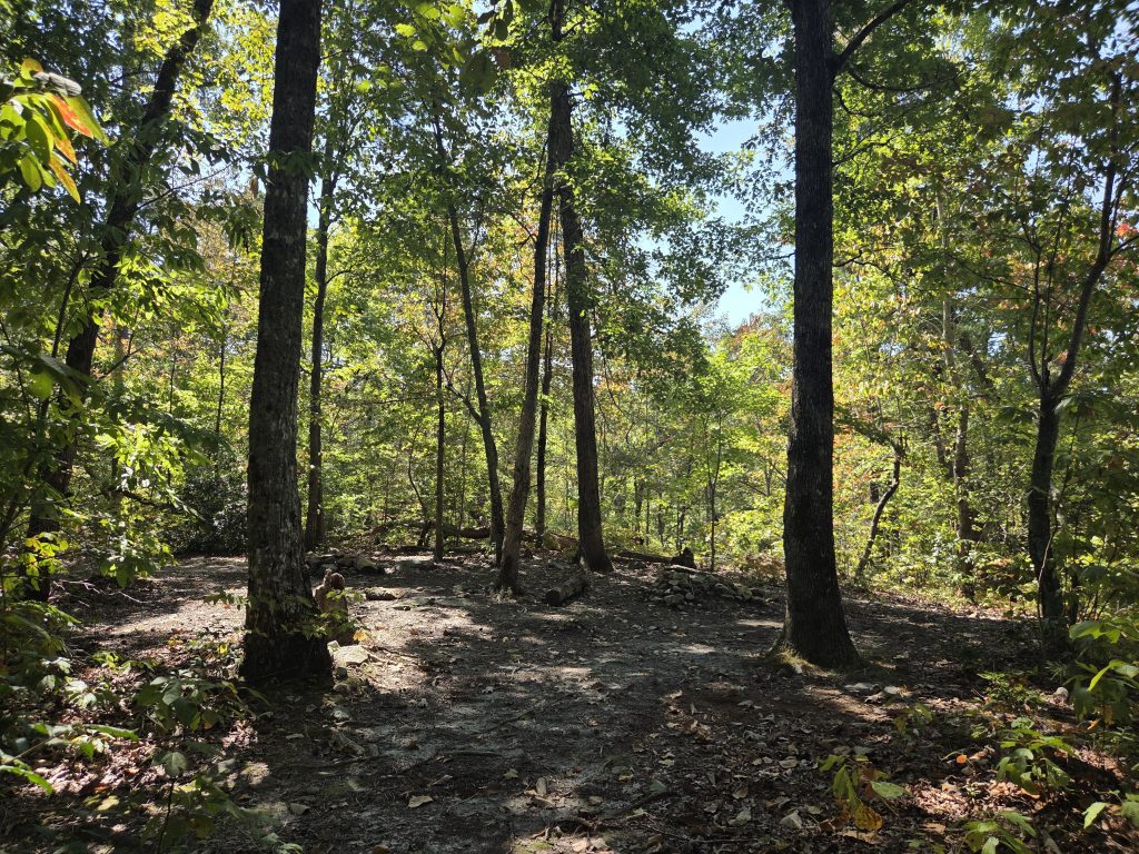 One of the elevated campsites on the Uwharrie trail