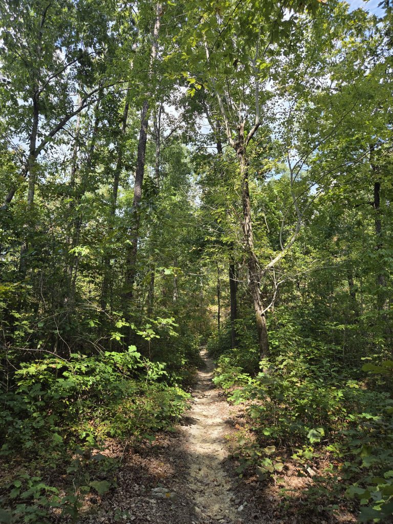 Past Dennis Mountain on the Uwharrie Trail