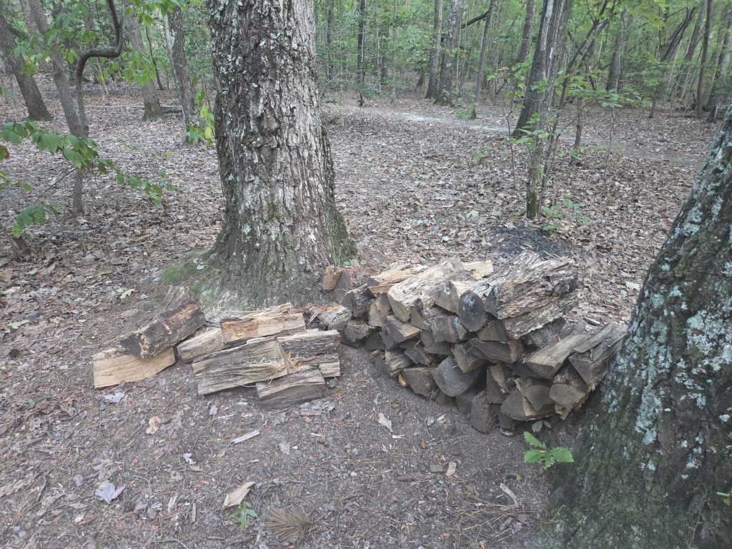 Chopped firewood at the campsite of Uwharrie and Dutchman's Creek trail.